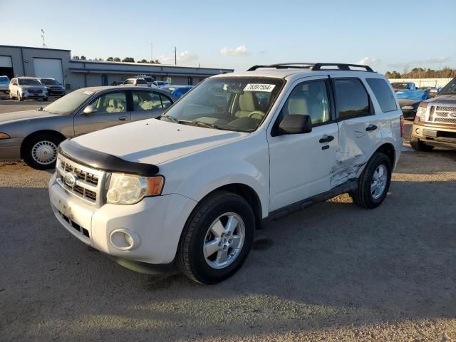 2009 Ford Escape XLT