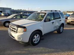 Salvage cars for sale from Copart Harleyville, SC: 2009 Ford Escape XLT