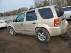 2007 Ford Escape XLT