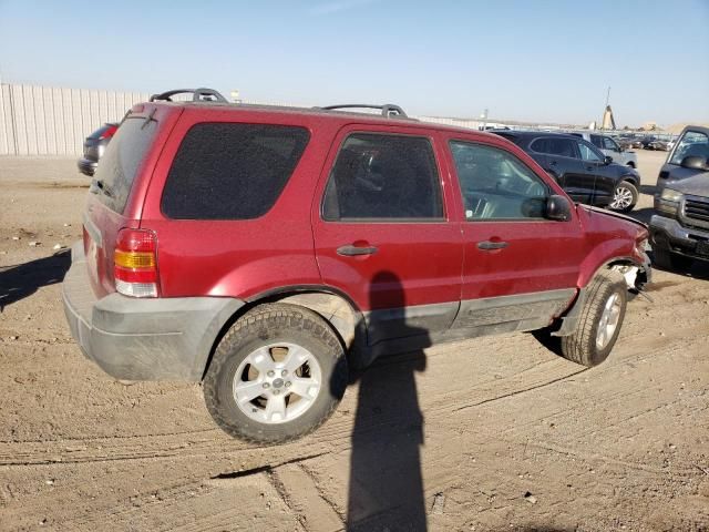 2005 Ford Escape XLT