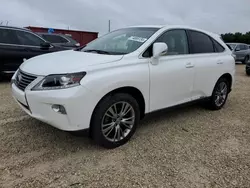 Salvage cars for sale at Arcadia, FL auction: 2014 Lexus RX 450H