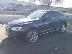 Salvage cars for sale at Albuquerque, NM auction: 2016 Audi Q5 Premium Plus