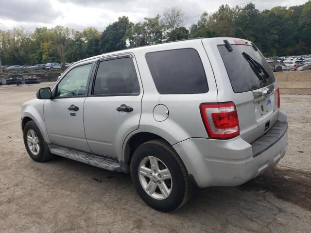 2010 Ford Escape Hybrid