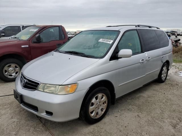 2004 Honda Odyssey EXL