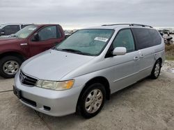 Honda Vehiculos salvage en venta: 2004 Honda Odyssey EXL