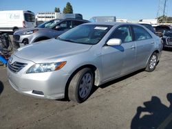 Salvage cars for sale from Copart Hayward, CA: 2008 Toyota Camry Hybrid