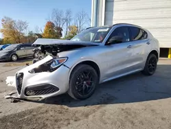 Alfa Romeo salvage cars for sale: 2021 Alfa Romeo Stelvio TI