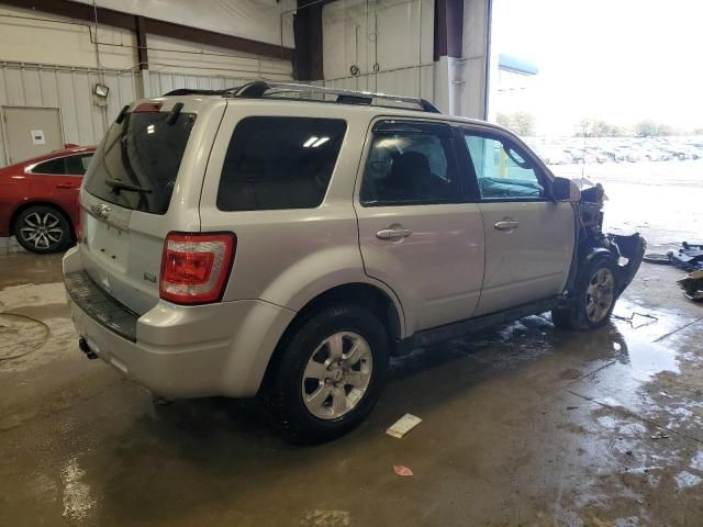 2010 Ford Escape Limited