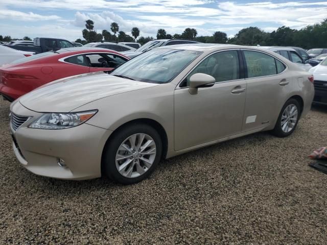 2014 Lexus ES 300H