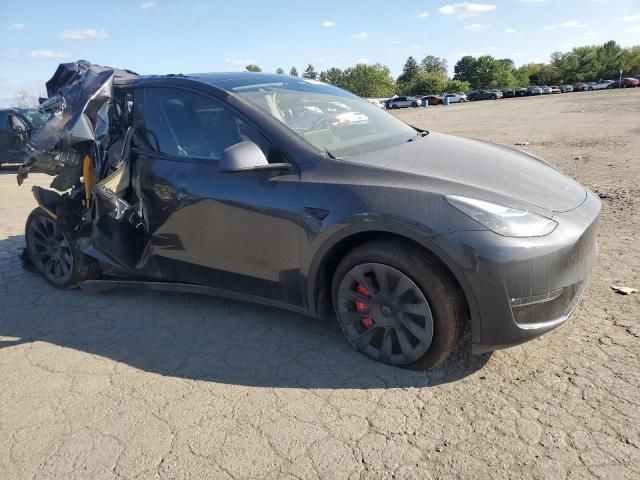 2024 Tesla Model Y