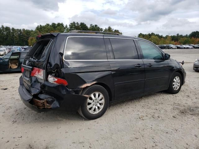 2010 Honda Odyssey EXL