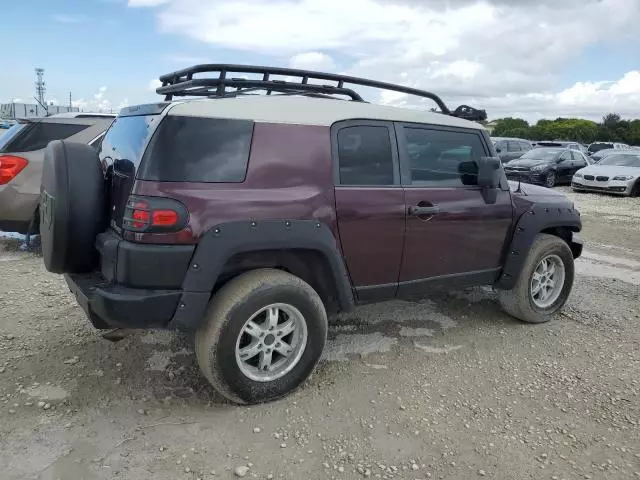 2007 Toyota FJ Cruiser