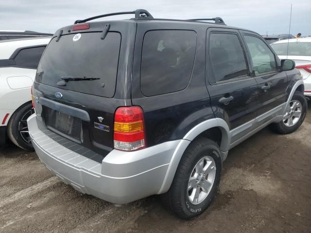 2007 Ford Escape XLT