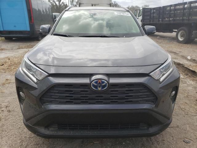 2021 Toyota Rav4 XLE Premium