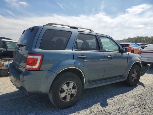 2010 Ford Escape XLT