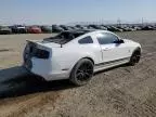 2014 Ford Mustang Shelby GT500