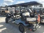 2021 Aspt Golf Cart