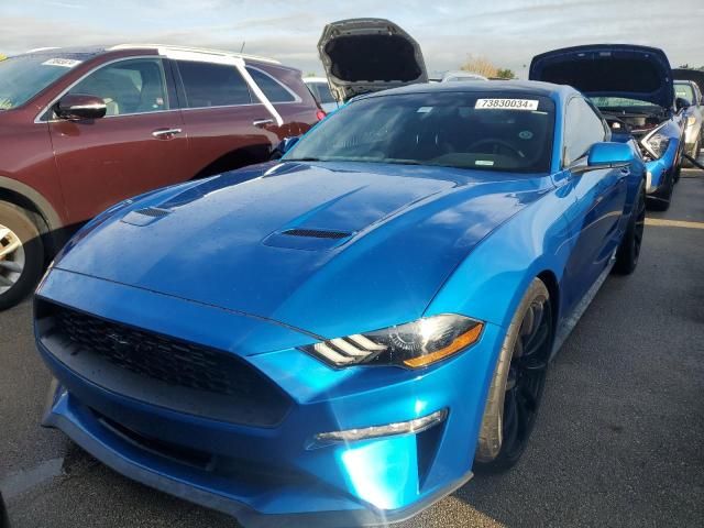 2019 Ford Mustang