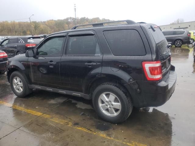 2010 Ford Escape XLT