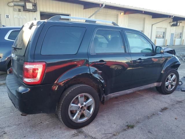 2009 Ford Escape Limited