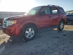 2008 Ford Escape XLT en venta en Arcadia, FL