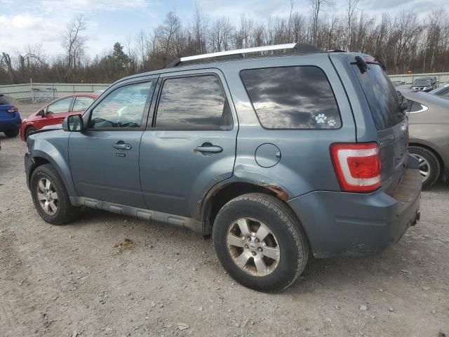 2010 Ford Escape Limited