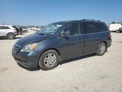 Salvage cars for sale at Houston, TX auction: 2005 Honda Odyssey EXL