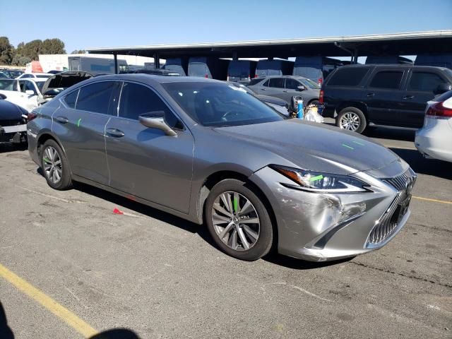 2019 Lexus ES 350