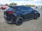 2022 Lexus NX 350