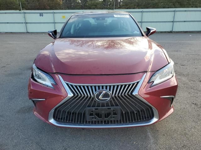 2019 Lexus ES 350