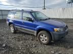 2005 Ford Escape XLS