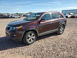 Carros salvage sin ofertas aún a la venta en subasta: 2012 KIA Sorento EX