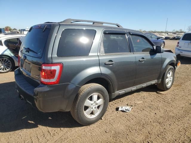 2009 Ford Escape XLT