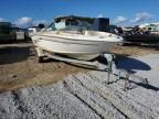 2002 Sea Ray Boat