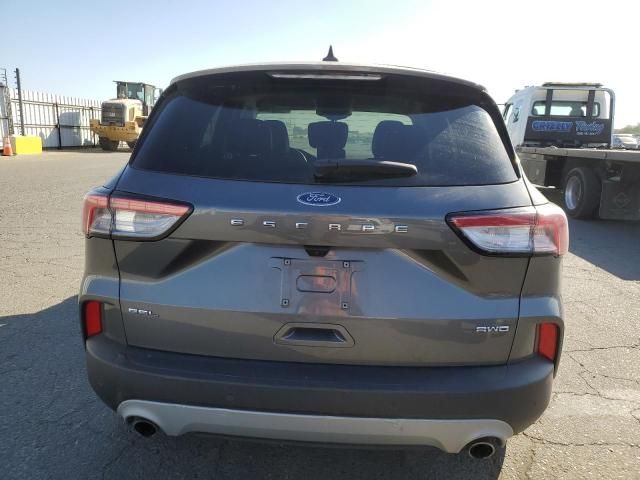 2021 Ford Escape SEL