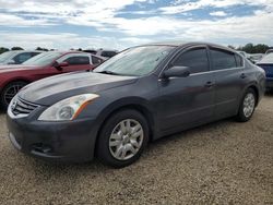 Salvage cars for sale from Copart Fort Pierce, FL: 2012 Nissan Altima Base