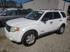 2008 Ford Escape XLT