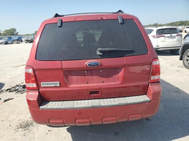 2011 Ford Escape XLT