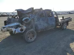 Salvage trucks for sale at Helena, MT auction: 2004 Dodge RAM 2500 ST