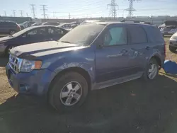 Carros salvage sin ofertas aún a la venta en subasta: 2010 Ford Escape XLT