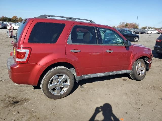 2012 Ford Escape XLT