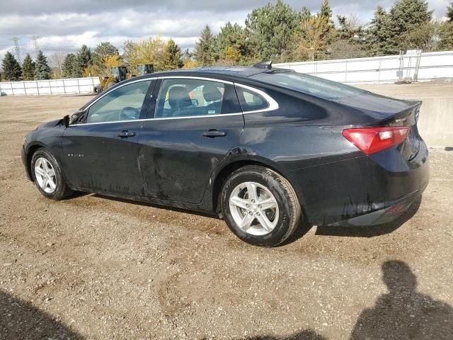 2021 Chevrolet Malibu LS