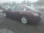 2014 Nissan Maxima S