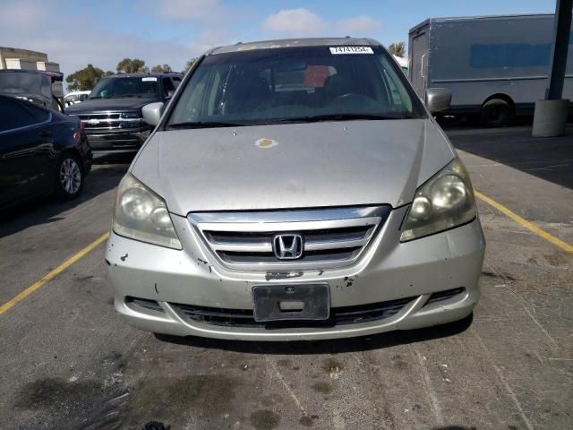 2005 Honda Odyssey EXL