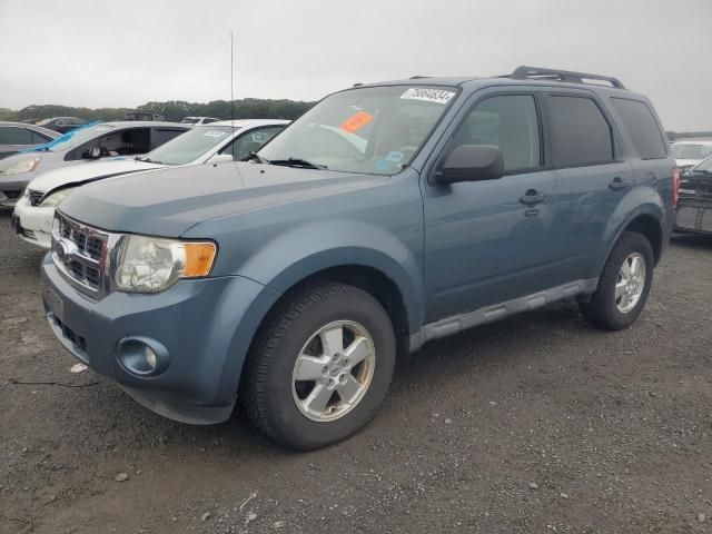 2011 Ford Escape XLT