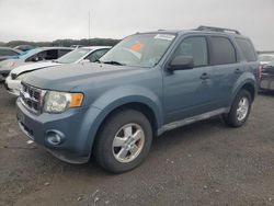 Salvage cars for sale at Assonet, MA auction: 2011 Ford Escape XLT