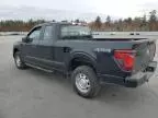 2024 Ford F150 XL