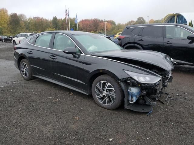 2021 Hyundai Sonata Hybrid