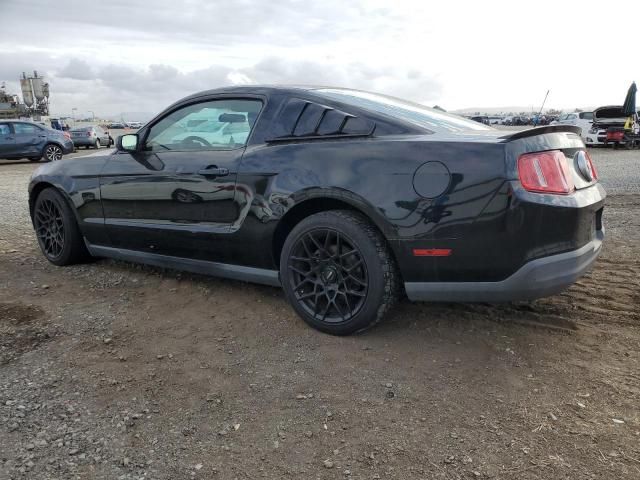 2010 Ford Mustang