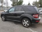 2011 Mercedes-Benz ML 350